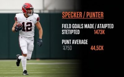 arizona cardinals vs buffalo bills match player stats